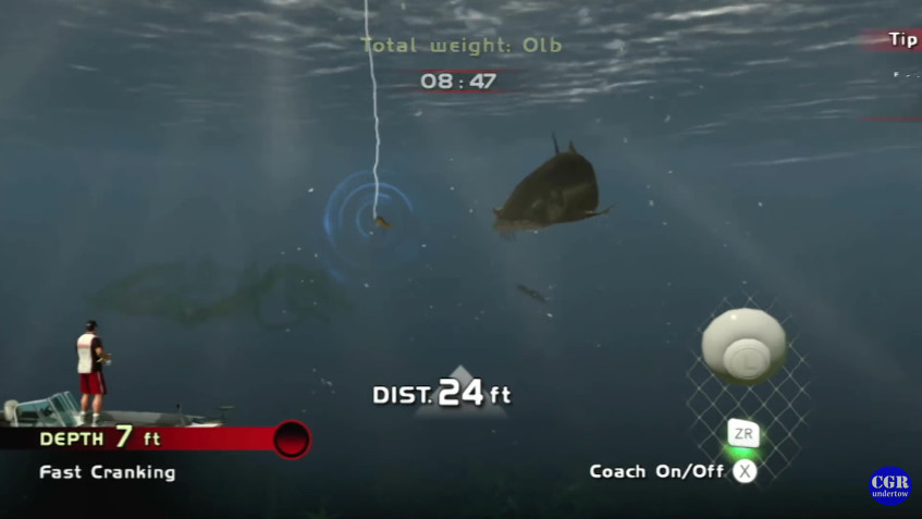 wii fish game